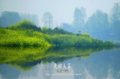 《美丽的水蜜桃》