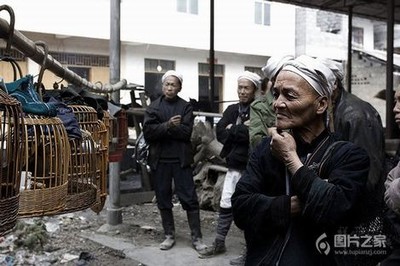 公务员妈妈非洲之旅白叶茹