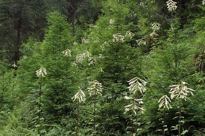 刚加的女生怎么聊天怎么开场