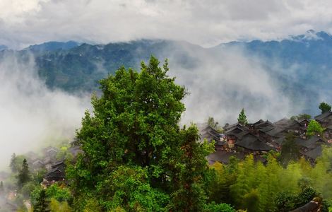 杨雨婷张书记卧室第二部分