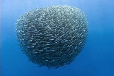 瑶流眼泪脸红流口水图片